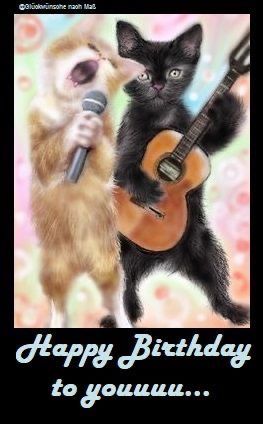 Cat Thinking, Cat Singing, Wallpaper Gatos, Silly Cats Pictures, Silly Animals, Funny Cute Cats, Silly Cats, Doja Cat, Pretty Cats