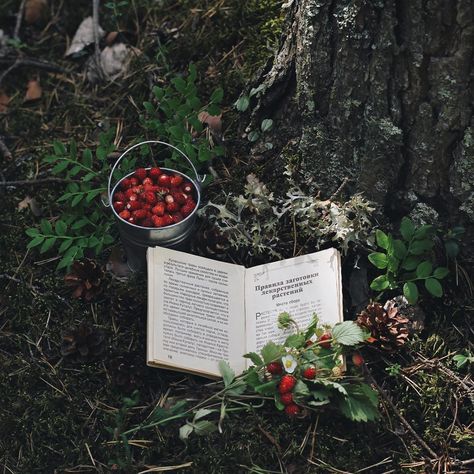 Dark Forest Academia, Forest Academia, Herb Journal, Seanan Mcguire, Shell Cottage, Random Aesthetic Pictures, Green Is My Favorite Color, Cottage Core Vibes, The Olive Branch