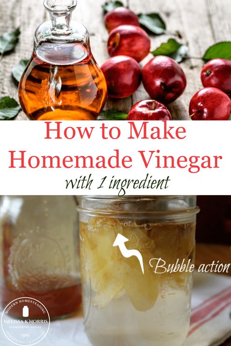 Learn how to make fruit vinegar from scratch with just 1 ingredient! Once you see how easy, and delicious, it is to make without any special equipment, you'll never go back to store-bought. #fermenting #fromscratch #DIY Elderberry Vinegar, Make Vinegar, Fermenting Recipes, Vinegar Powder, Homemade Vinegar, Diy Vinegar, Fruit Vinegar, How To Make Vinegar, Plum Vinegar