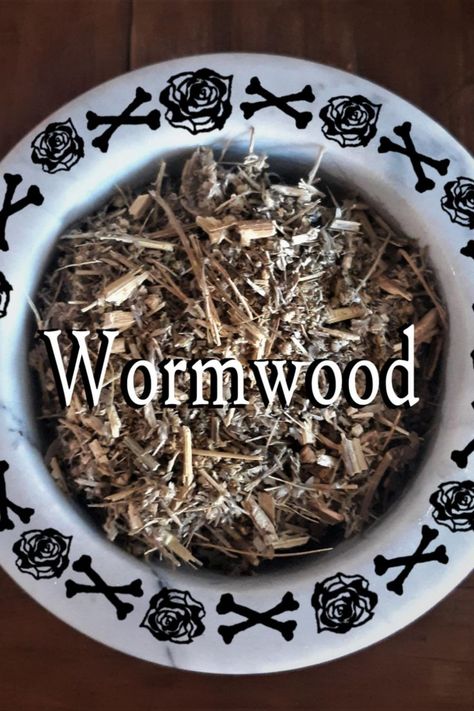 wormwood, mugwort, th-herbs-day, hedgewitch, witchcraft, witch, green witch, bruja, baby witch, absinthe Summoning Spirits, Medical Herbs, Spirit World, Open Doors, Medicinal Plants, Book Of Shadows, The Spirit, How To Dry Basil, Natural Remedies