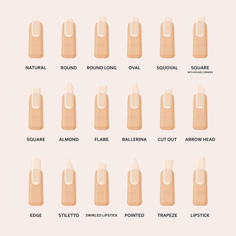 Nail Shapes: A Super Helpful Guide for Your Next Manicure | Glamour UK Best Red Nails, Nail Oval, Cool Red Nails, Nail Shape Chart, Nail Round, Types Of Nails Shapes, Jumper Nails, Nail Natural, Fan Nails