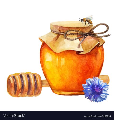 Honey Drawing, White Illustration, Honey Jar, Healthy Delicious, Drawing Art, Stock Vector, Honey, Bee, Art