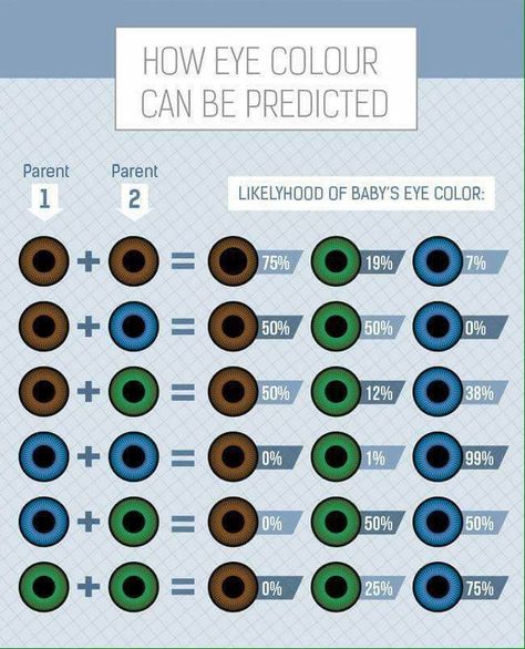 Eye Color Chart Genetics, Heterochromia Eyes, Two Different Colored Eyes, People With Blue Eyes, Eye Colours, Eye Color Chart, Eye Facts, Biology Classroom, Eye Chart