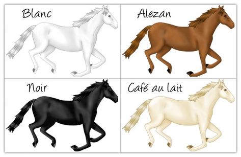 Un cheval a une robe simple si ses crins et ses poils sont de même couleur. Il existe quatre robes simples : le Noir, le Blanc, l'Alezan et le Café-au-lait. Banquette, Horses, Animals, Art, Tes