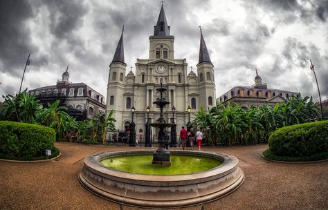 Jackson Square (New Orleans) - 2020 All You Need to Know BEFORE You Go (with Photos) - Tripadvisor Jackson Square New Orleans, Street Painter, City Park New Orleans, Park Cafe, St Louis Cathedral, New Orleans City, Mexico Cruise, Travel America, Jackson Square