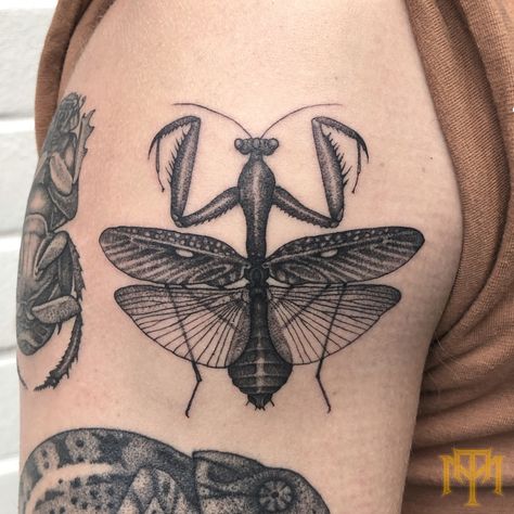 Black Beetle Tattoo, Knee Bug Tattoo, Bug Neck Tattoo, Bug Tattoo Design, Bug Sleeve Tattoo, Insect Sleeve Tattoo, Mantis Tattoo Design, Beetle Hand Tattoo, Bug With Wings Tattoo