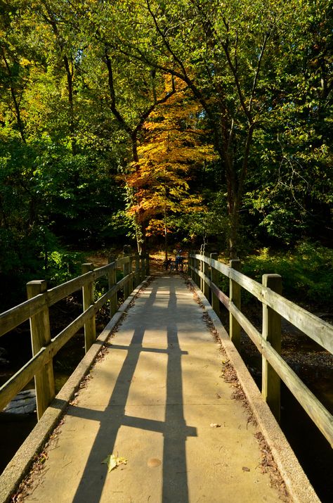 Rock Creek Park, Washington DC Dog Picnic, Rock Creek, Autumn 2022, Wedding Video, Creative Inspiration, Washington Dc, Beautiful Places, Washington, Favorite Places