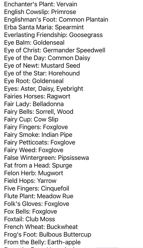 Folk Names For Herbs, Witch Ingredient List, Witch Names, Magickal Herbs, Witch Herbs, Witch Tips, Folk Magic, Grimoire Book, Magic Spell Book