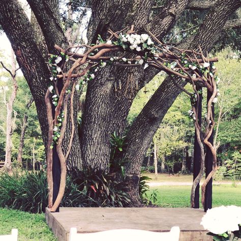 Woodland Forest Wedding  - Cypress Creek Event Venue Woodland Forest Wedding, Enchanted Forest Wedding Theme, Redwood Forest Wedding, Lotr Wedding, Wedding Woodland, Forest Theme Wedding, Enchanted Forest Wedding, Viking Wedding, Wedding Ceremony Arch