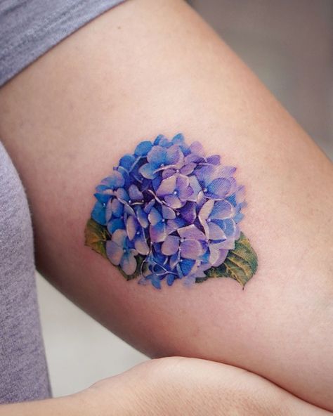 Seulki Park | Blue Hydrangea🩵 🇺🇸 Based in LA @vismstudio 📧 abii@vismstudio.com #hydrangea #hydrangeatattoo #losangelestattoo #californiatattoo… | Instagram Flower Tattoos Hydrangeas, Hydrangea Tattoo Color, Delicate Hydrangea Tattoo, Hydrangea And Butterfly Tattoo, Tattoo Of Hydrangea, Blue Hydrangea Tattoo, Hydrangea Tattoo, California Tattoo, La Tattoo