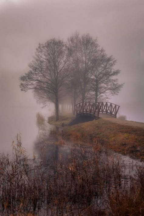 Foggy Day, Bridge Photography, A Bridge, Autumn Aesthetic, Pretty Places, Nature Beauty, Pretty Pictures, Beautiful World, Beautiful Landscapes