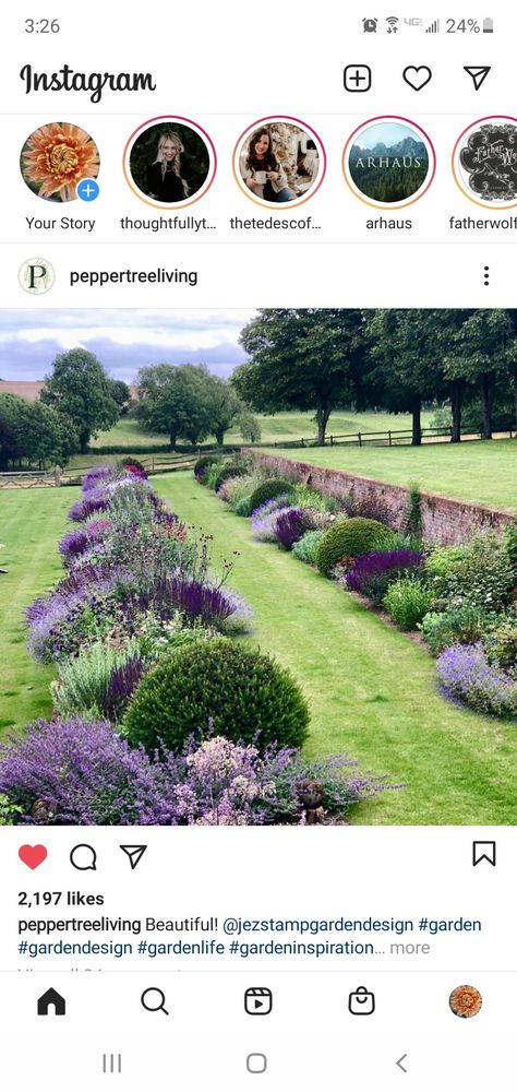 Lavender Hedge, Front Yards, Lavender Garden, Spring Landscape, Street Design, Front Garden, Yard Landscaping, Hedges, House Front