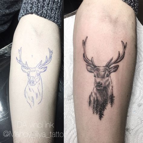 Matching Deer Tattoos, Scottish Stag Tattoo, Stag Tattoo Feminine, Stag Tattoo Design, Tattoo Clipart, Deer Tattoos, Doe Tattoo, Deer Tattoo Designs, Tattoo Animals