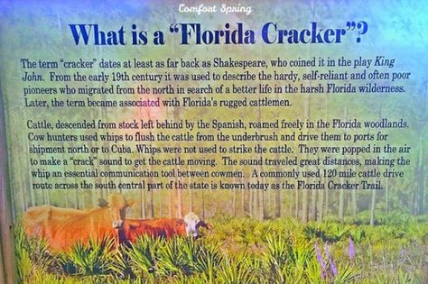 What is a #Florida #Cracker #history #museum Florida State Fair, Florida Cracker, Museum History, King John, Travel Photography Tips, State Fair, Famous Places, First Week, Early Fall