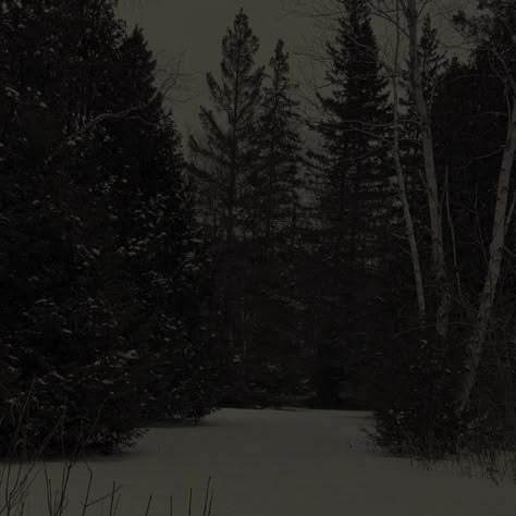 Dark Atmosphere Aesthetic, Silent Pictures, Silent Hill Aesthetic, Hill Aesthetic, Eerie Places, Trippy Cartoon, Snowy Night, Dark Landscape, Snow Forest