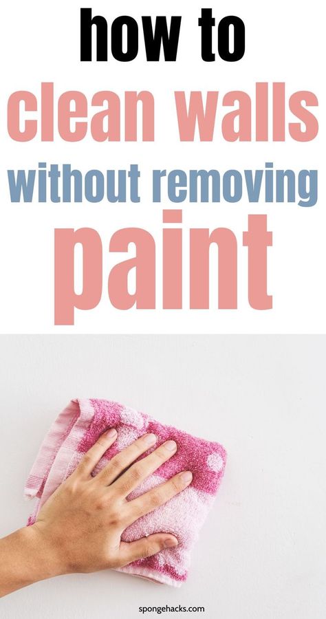 Just painted your walls? Learn how to clean walls without removing paint in 28 ways Washing Painted Walls, Best Ways To Clean Walls, What To Use To Clean Walls, How To Clean Textured Walls, Clean Walls Without Removing Paint, How To Clean Walls Without Ruining Paint, How To Clean Walls, Best Way To Clean Walls, Clean Walls