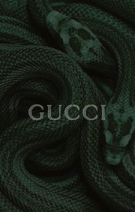 Gucci Green Wallpaper, Green Gucci Aesthetic, Aesthetic Wallpaper Green Dark, Gucci Aesthetic Wallpaper, Wallpaper Iphone Dark Green, Gucci Moodboard, Christian Dior Wallpaper, Gucci Green Bag, Gucci Aesthetic