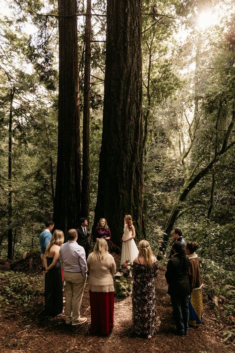 Sarah and Alex’s Small Wedding in the Forest Wedding In The Forest, Wedding Locations California, Redwood Wedding, Camp Wedding, Elopement Ceremony, Small Intimate Wedding, Wedding Photos Poses, Wedding Photography Poses, Woodland Wedding