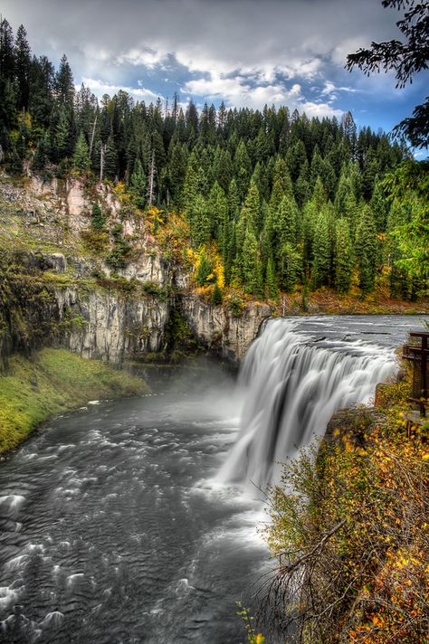 Mesa Falls Boise-Targhee National Forest, Idaho Northern Idaho, Alex Smith, Idaho Travel, Idaho Falls, Have Inspiration, Beautiful Waterfalls, Pretty Places, National Forest, Places Around The World