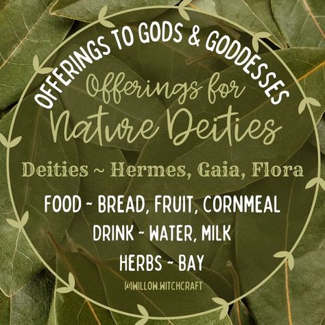 Offerings to Gods & Goddesses ~ For Nature Deities #todaysposts #topicoftheday #godsandgoddesses #offerings #offeringstogodsandgoddesses #naturedeities #offeringsfornaturedeities Nature Deities, Mother Gaia, Gods Goddesses, Healing Magic, Grimoire Book, Witch Craft, Shadow Work, Gods And Goddesses, Book Of Shadows