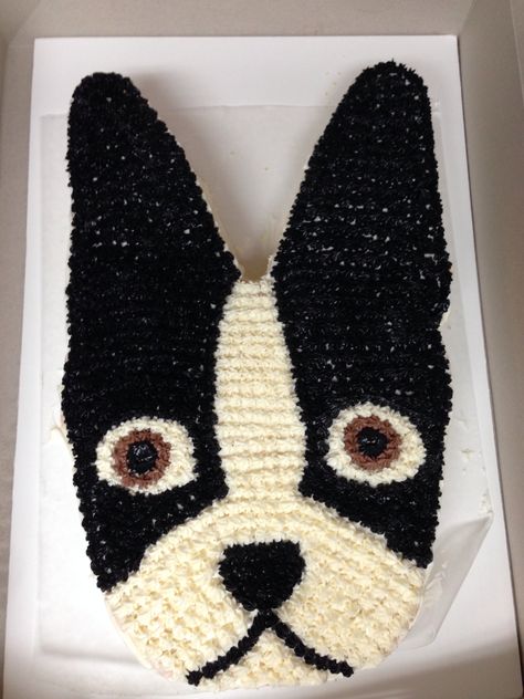 Boston Terrier Cake! Boston Terrier Cake, Dogs Cake, Dog Cakes, Boston Terrier Love, Boston Terrier Puppy, Cake Walk, Puppy Birthday, Boston Terrier Dog, Food Options