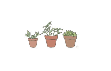 Succulent Drawing, Cute Powerpoint Templates, Succulents Illustration, Succulents Drawing, Succulent Wedding Centerpieces, Succulent Garden Landscape, Concrete Succulent Planters, Plant Icon, Purple Succulents