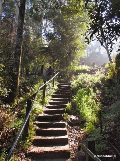 1,000 steps, Dandenong range, Victoria, Australia 1000 Steps, Yarra Valley, Travel Locations, Get Outdoors, Big Island, Australia Travel, Melbourne Australia, Get Outside, Historic Homes