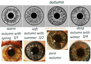 expressing your truth blog: Eye Types & Iridology Autumn Eyes, Seasonal Analysis, Spring Eyes, Tawny Spring, Eye Types, Soft Autumn Deep, Eye Color Chart, Soft Autumn Color Palette, Summer Eyes