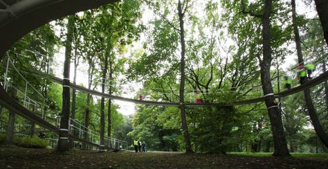 A Path in the Forest / Transsolar & Tetsuo Kondo Architects Forest Bridge, Wood Path, Estonia Travel, Landscape Design Drawings, Public Space Design, Areas Verdes, Tallinn Estonia, Forest Path, Public Garden