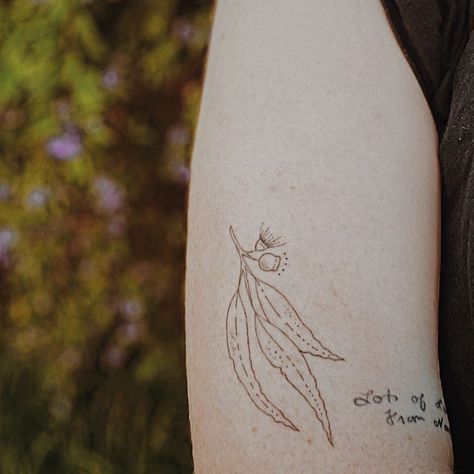 Casey Reid on Instagram: “Healed // by the lovely @kalula_tattoo !! 💫🍃” Kalula Tattoo, Tiny Tattoos, Healing, Tattoos, On Instagram, Instagram