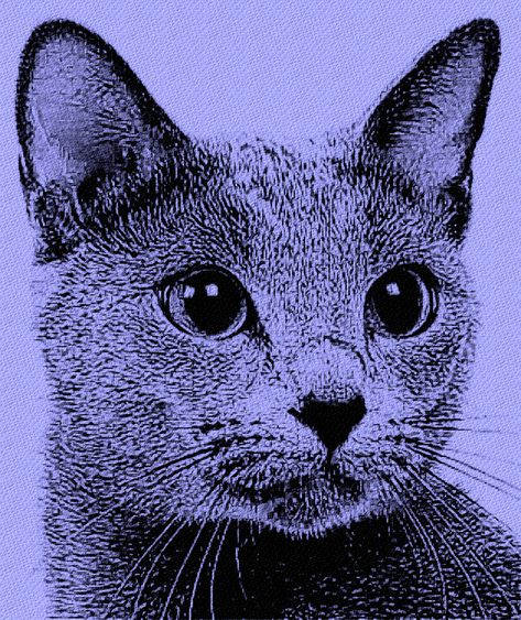 Russian Blue Cat Tattoo, Russian Blue Cat Drawing, Tattoo Gato, Russian Tattoo, Blue Drawings, Russian Blue Cat, Cat Portrait, Piercing Ideas, Blue Cat