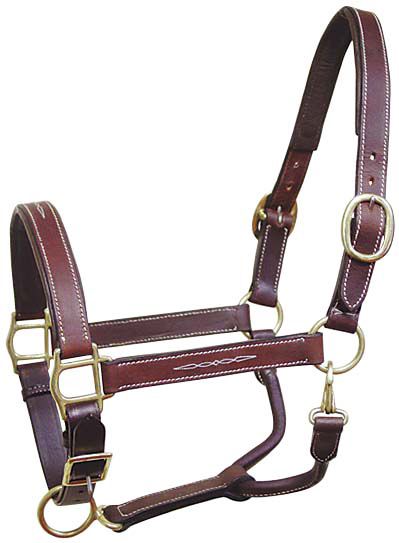 Padded Horse Halter Horse Leather Horse Halter, Horse Products, Horse Halters, Horse Halter, Types Of Horses, Horse Equipment, Leather Halter, Equestrian Boots, Horse Blankets