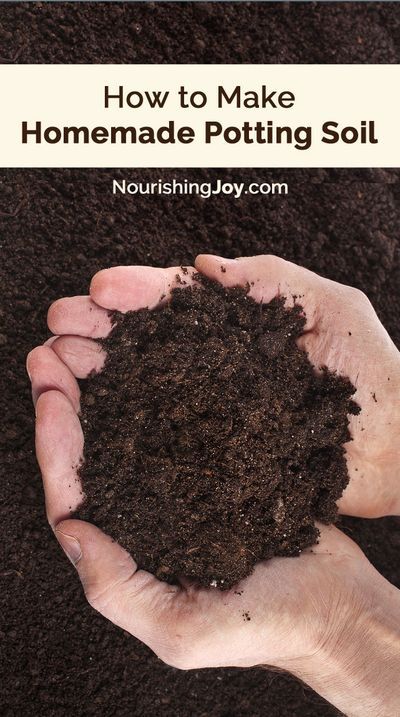 Compost Soil, Homestead Gardens, Garden Compost, Soil Improvement, Soil Health, Beach Gardens, Garden Soil, Growing Food, How To Make Homemade