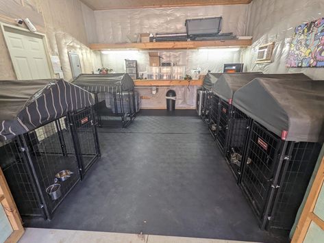 Dog Kennel Room, Doggie Room Ideas, Indoor Dog Kennel Ideas, Whelping Room, Indoor Dog Room, Dog Facility, Big Dog Kennels, Dog Daycare Design, Dog Park Design