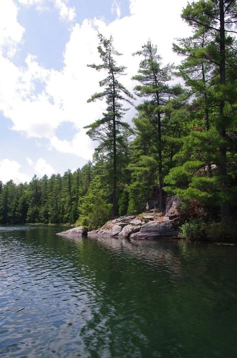 Northern Ontario Aesthetic, Canada Wilderness, Landscape Felting, Wilderness Garden, Ontario Landscape, Alaska Camping, Haliburton Ontario, Minnesota Nature, White Pines