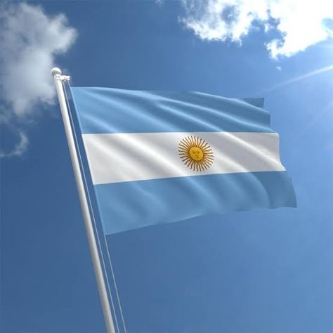 Argentina Argentine Flag, Argentina Culture, Argentina Food, Visit Argentina, Ballroom Tango, Cup Football, Argentina Flag, World Cup Champions, Brazil Flag