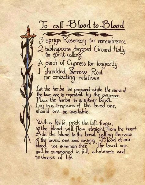 call blood 2 blood spell Blood Magick, Witchcraft Spells For Beginners, Charmed Book Of Shadows, Spells For Beginners, Magic Spell Book, Grimoire Book, Wiccan Witch, Magick Spells, Wiccan Spell Book