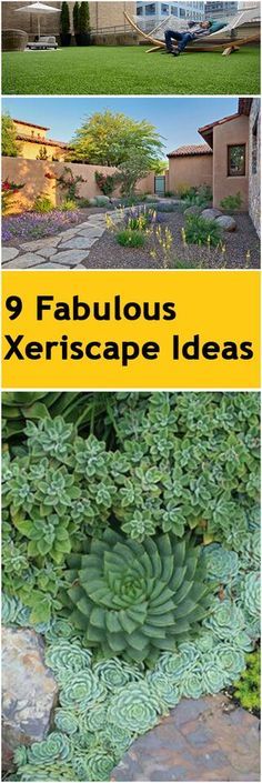 Xeriscape Ideas, Xeriscape Front Yard, Xeriscape Landscaping, Drought Tolerant Garden, Drought Tolerant Landscape, Irish Cottage, Country Landscape, Dream Yard, Easy Landscaping