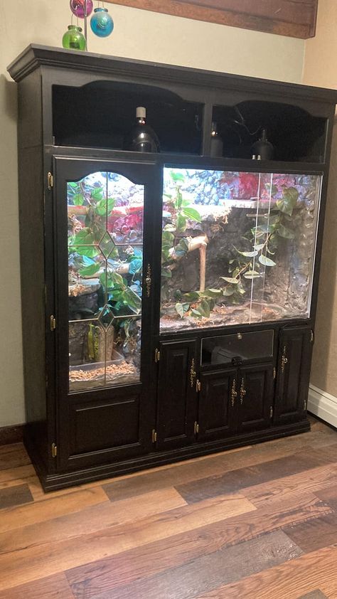 DIY Reptile Enclosures Reptile Enclosure Stand, Ikea Reptile Enclosure, Homemade Reptile Enclosure, Custom Reptile Enclosure, Custom Snake Enclosures, Goth Snake Enclosure, Burmese Python Enclosure, Diy Snake Enclosure How To Build, Diy Bearded Dragon Enclosure How To Build