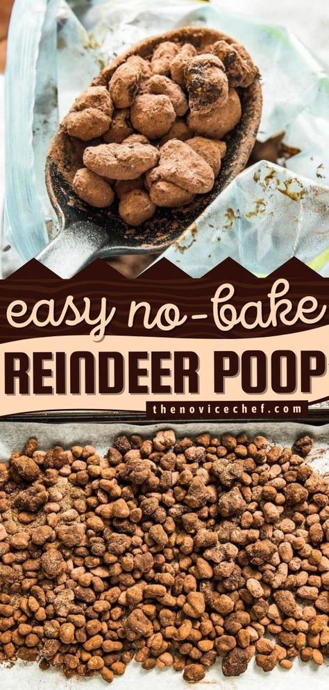 Reindeer Poop Recipe, Reindeer Droppings, The Novice Chef, Reindeer Poop, Novice Chef, Christmas Desserts Easy, Christmas Recipes Easy, Christmas Baking Recipes, Easy Christmas Treats