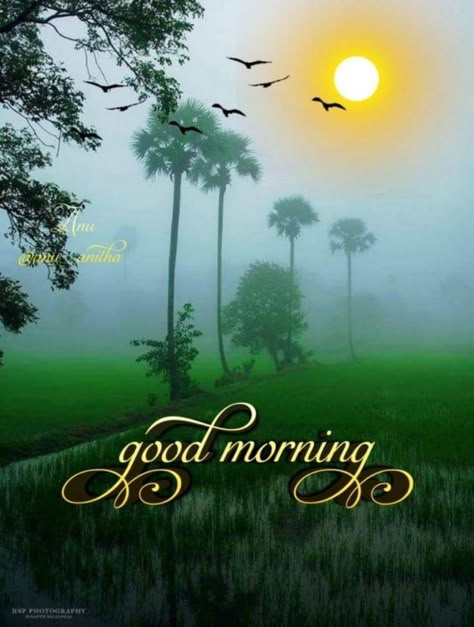 Beautiful Good Morning Wishes Nature, Good Morning Wishes Nature, Sweet Good Morning Images, Beautiful Good Morning Wishes, Free Good Morning Images, Love Good Morning Quotes, Good Morning Greeting Cards, Good Morning Flowers Rose, Beautiful Good Morning