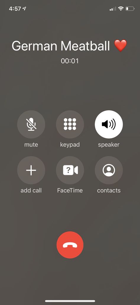 Long Call Screenshot Iphone, Call Screenshot Iphone, Fake Call, Call Screenshot, Screen Iphone, Phone Inspiration, Shadow Pictures, Iphone 12, Iphone 11