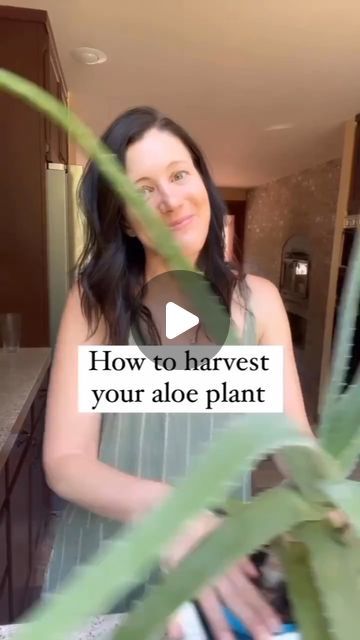 How To Cut Aloe Vera Leaf, Aloe Gel, Essential Oils For Skin, Aloe Plant, Aloe Leaf, The Leaf, Planting Herbs, Healthy Fitness, Natural Medicine