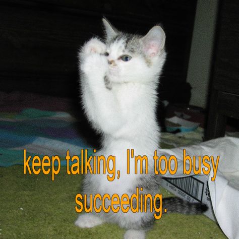 Cat Motivational Quotes, Motivation Meme, Keep Talking, Facebook Memes, Animal Pics, Too Busy, Cat Quotes, Eat Well, You Gave Up