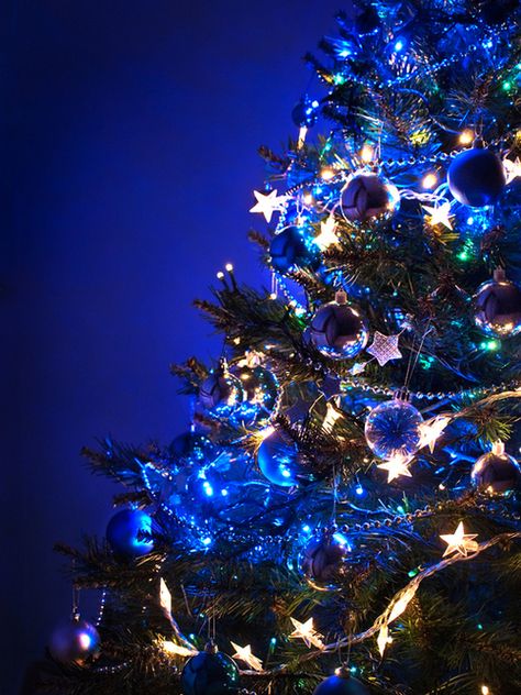 Blue Christmas Tree Winter Schnee, Blue Christmas Tree, Merry Christmas To All, Noel Christmas, Christmas Love, Blue Christmas, Christmas Joy, Christmas Wallpaper, Christmas Colors