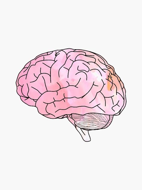 "watercolor brain" Sticker by clairekeanna | Redbubble Watercolor Brain, Brain Sticker, Brain Diagram, Brain Icon, Brain Drawing, Brain Art, Framed Wallpaper, Aesthetic Tattoo, Pink Leaves