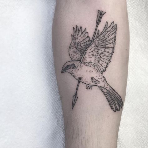 Shrike Bird Tattoo, Illustrative Bird Tattoo, Bird Arrow Tattoo, Shrike Tattoo Hozier, Still Alive Tattoo, Shrike Tattoo, Hozier Inspired Tattoos, Northern Shrike, Shrike Bird