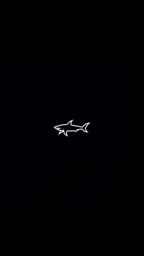 Shark Wallpaper Aesthetic, Shark Wallpaper, Cool Sharks, Smile Wallpaper, Shark Logo, Trading Quotes, Street Racing Cars, Paul Shark, Shark Week