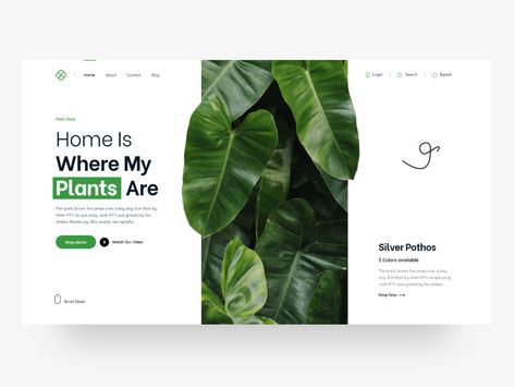 Plants Shop Plant Website Design Inspiration, Plant Website Design, Green Website, Growing A Business, Inmobiliaria Ideas, Buy Plants Online, Graphisches Design, Plant Shop, Webpage Design