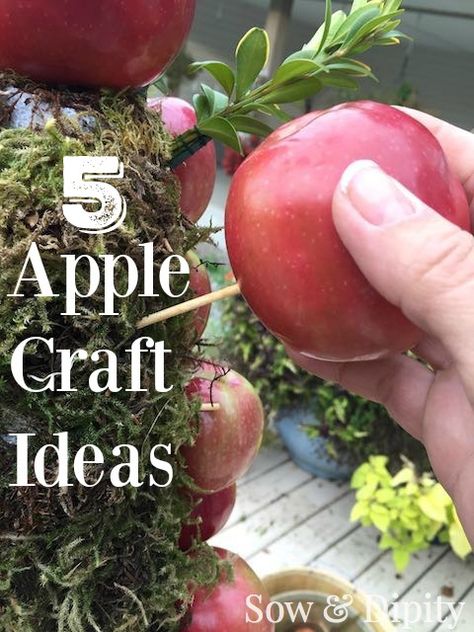 5 Apple Craft Ideas, recipes and decor! Apple Table Centerpieces, Apple Basket Decor Ideas, Red Apple Centerpiece Ideas, Dried Apples Decoration, Apple Orchard Decor, Decorating With Apples For Fall, Apple And Sunflower Decor, Apple Arrangements, Apple Centerpiece Ideas